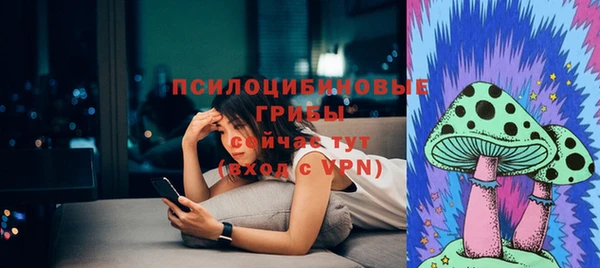 кокс Вяземский