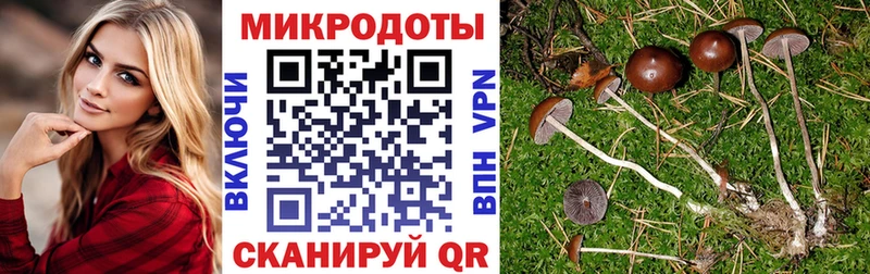 Галлюциногенные грибы Cubensis  Карасук 